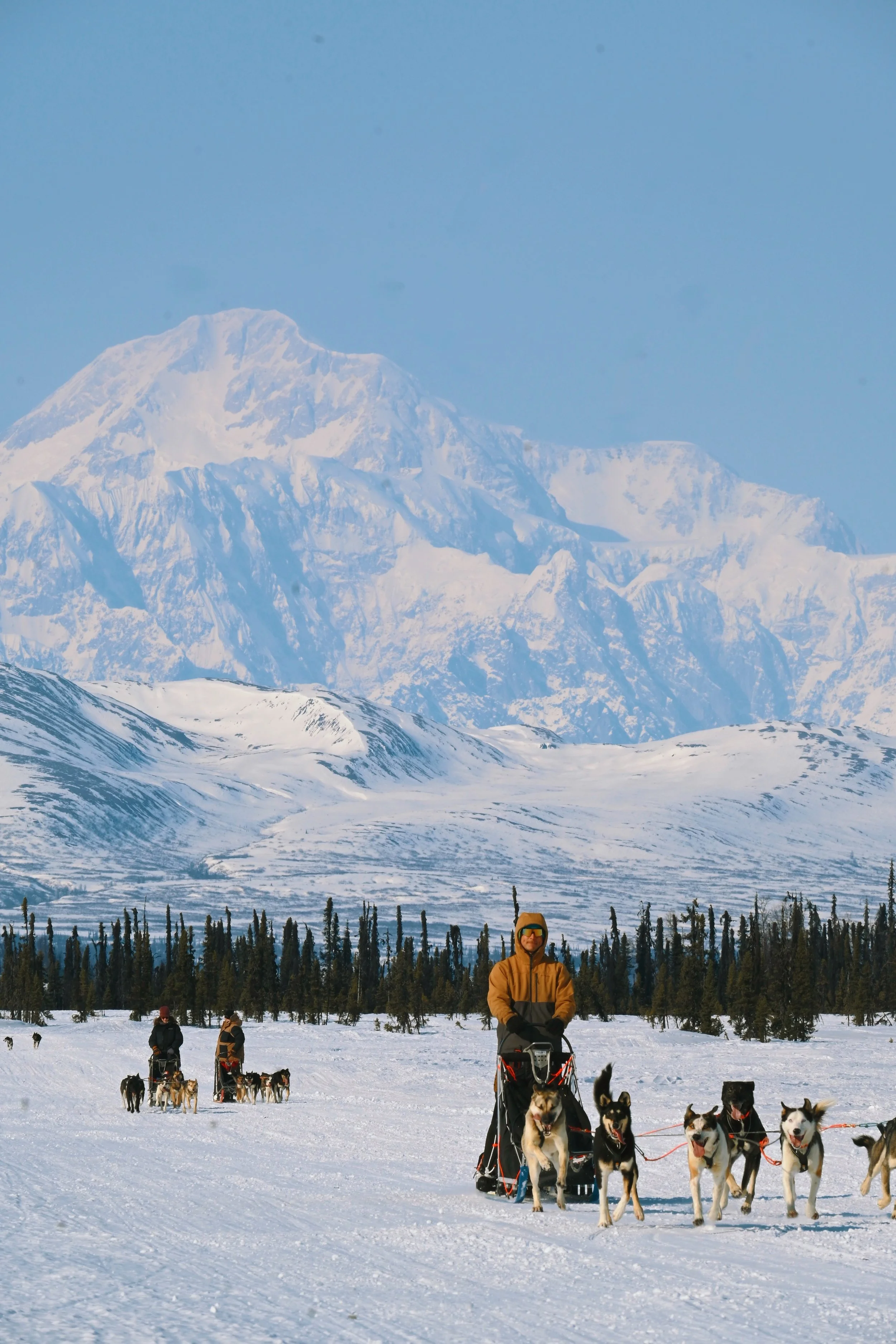 Dogsledding Tours — Gate Creek Lodge